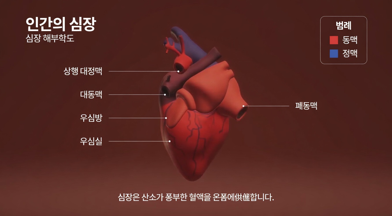 몇 번의 치료 후에도 방광 및 신장 감염에 도움이 되는 천연 항생제