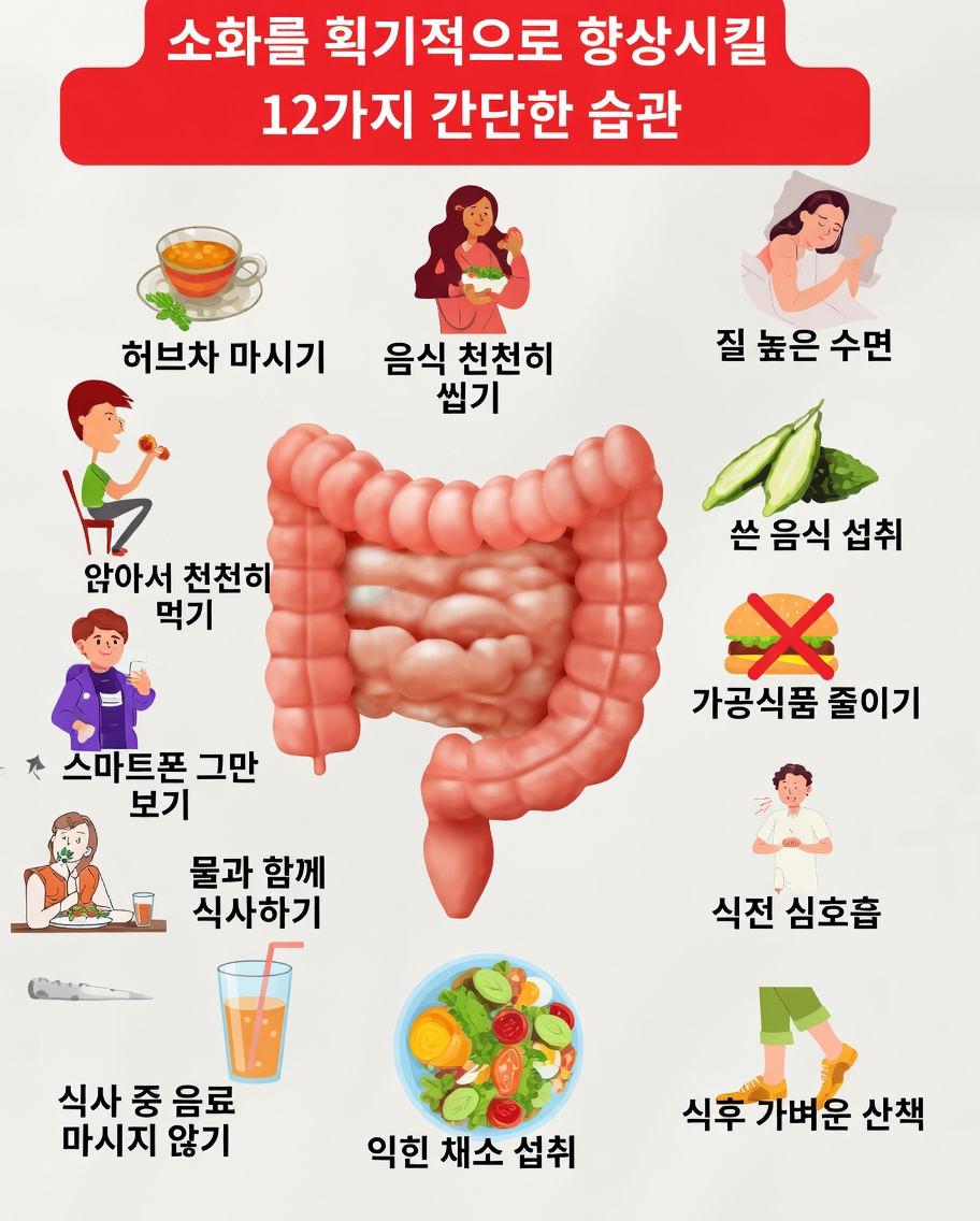 건강한 소화와 규칙적인 배변을 자연스럽게 돕는 간단한 일상 습관 알아보기