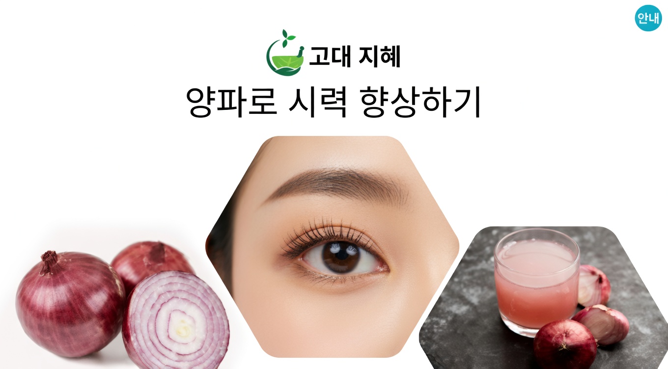집에서 자연스럽게 시력을 향상시키는 방법: 양파가 시력 건강과 선명도에 도움을 줄 수 있는 이유