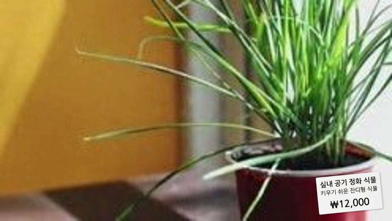 생명의 기적의 잎이 주는 놀라운 효능 11가지