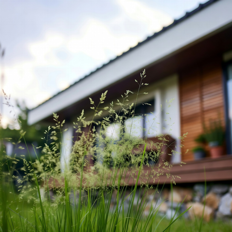 바랭이의 효능과 용도