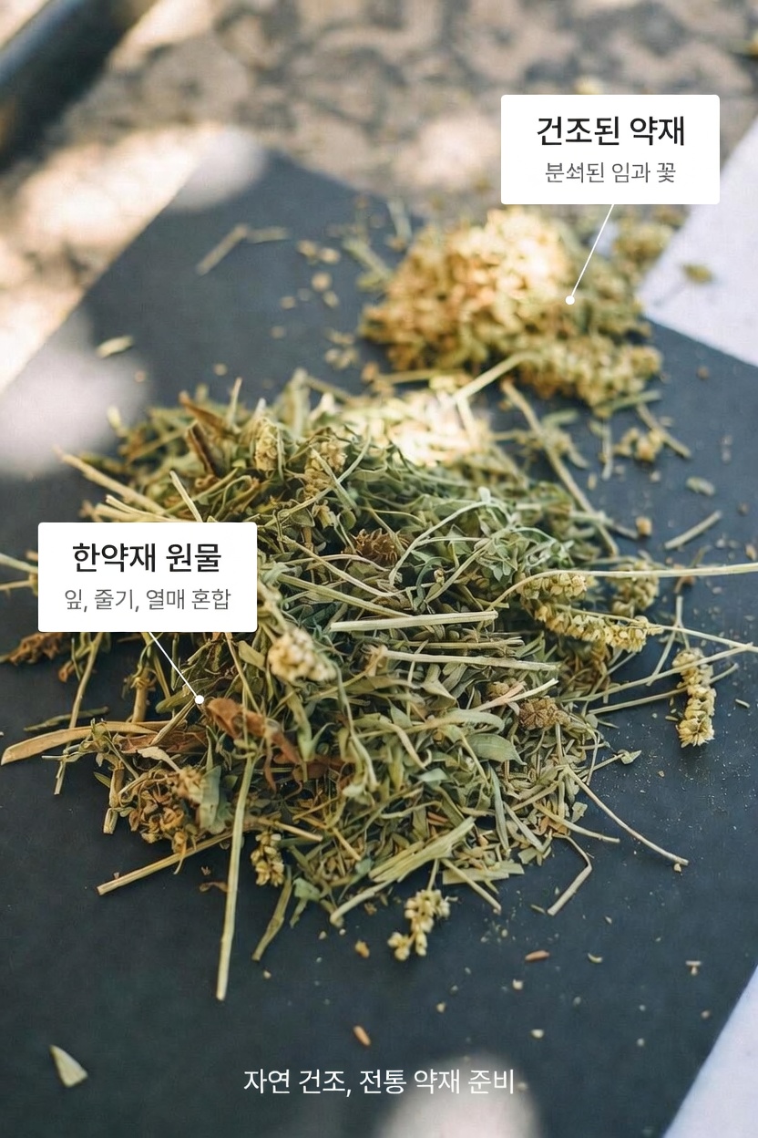 60세 이상 시니어는 심장 건강을 위해 어떤 일반의약품 진통제에 주의해야 할까요?