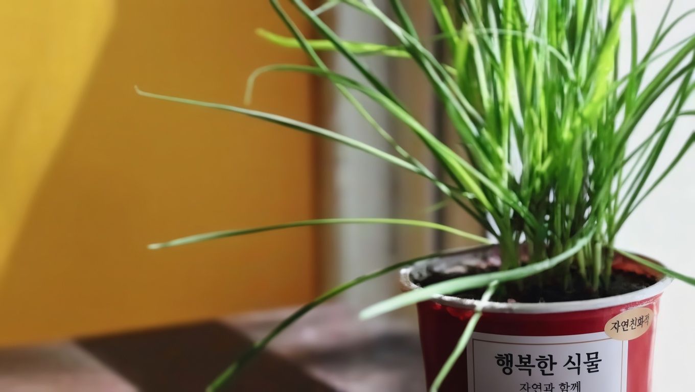 질긴 풀: 놀라운 효능 10가지와 부작용