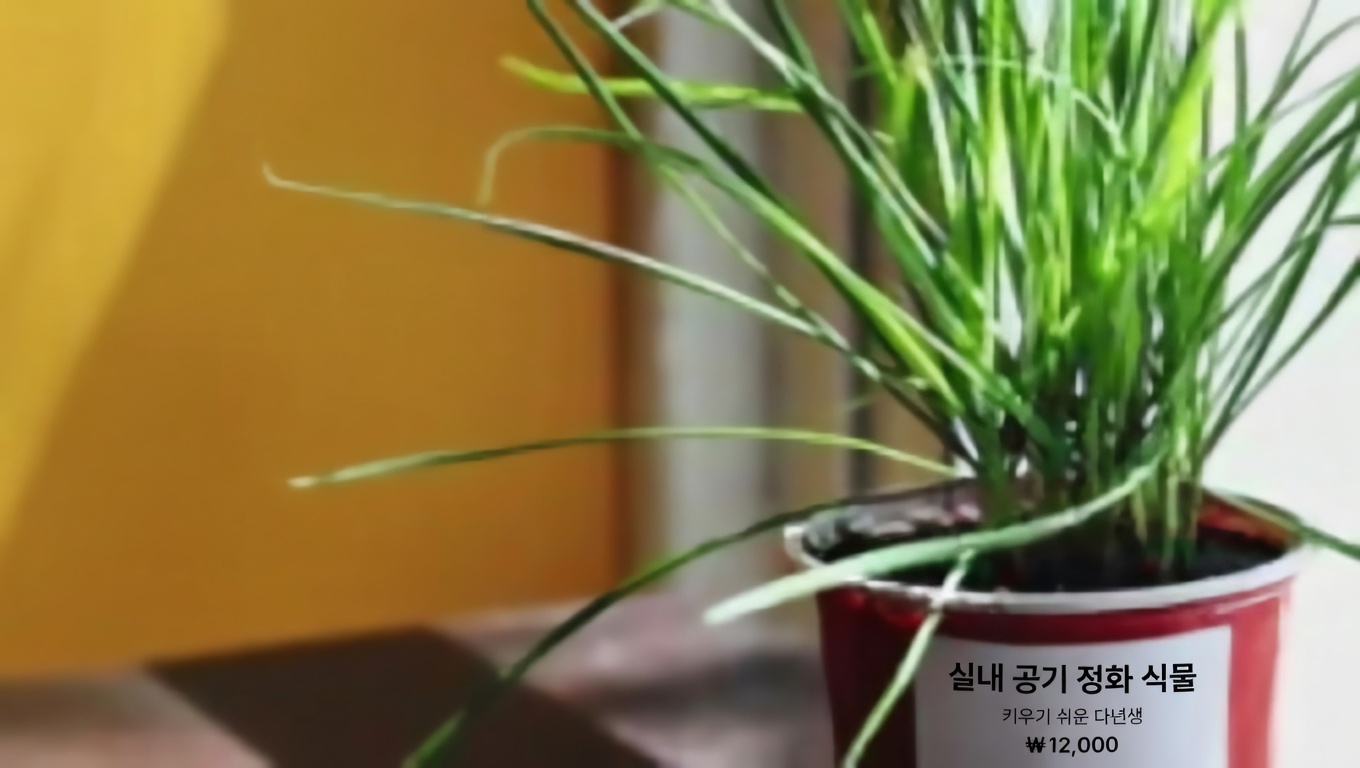 히비스커스 잎과 꽃: 효능과 집에서 활용하는 방법