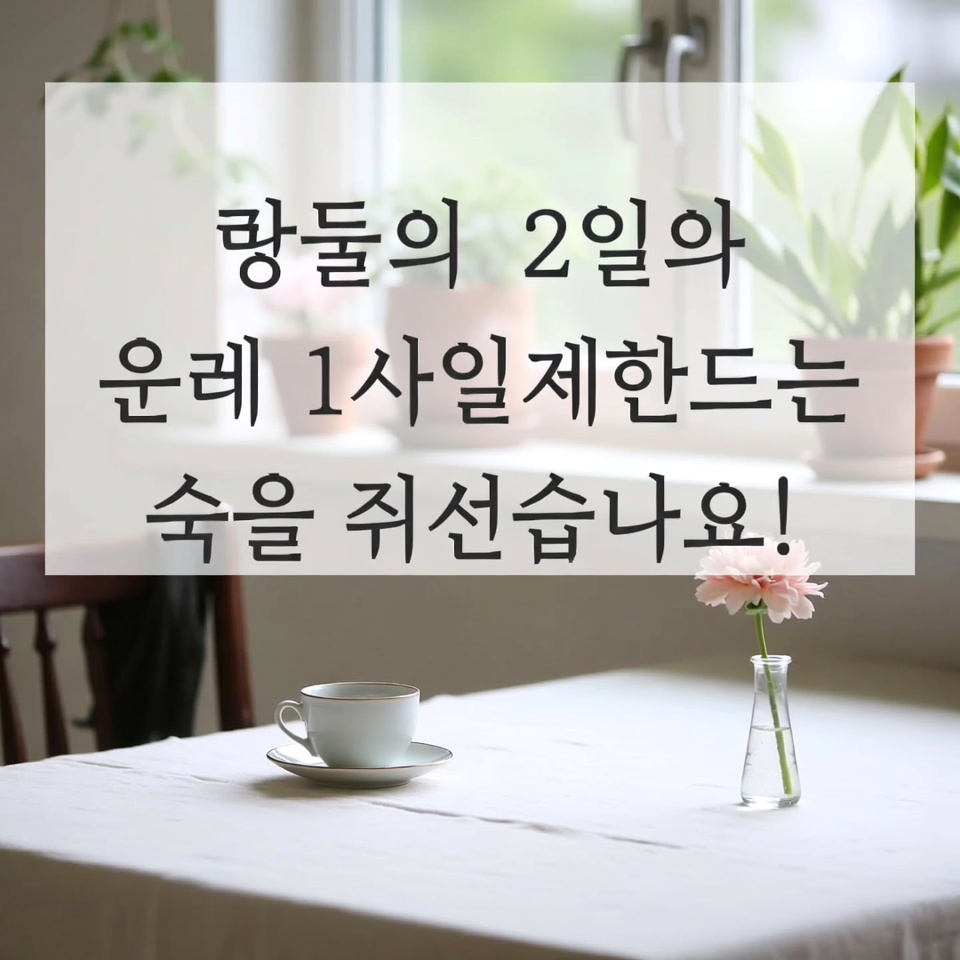 일주일 동안 하루에 두 컵만 마시면 더 작은 옷이 필요해질 거예요!