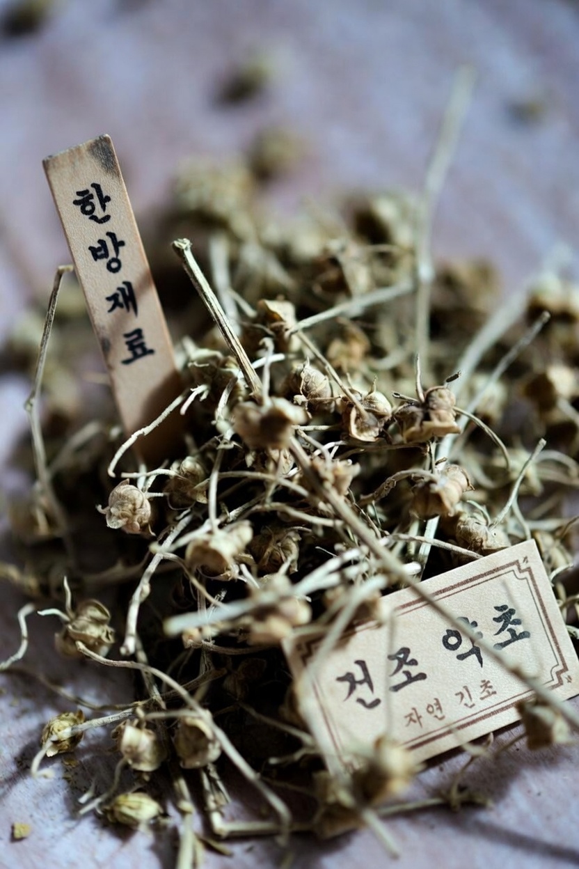 단백뇨를 악화시키고 신장에 해를 줄 수 있는 흔한 약물 10가지