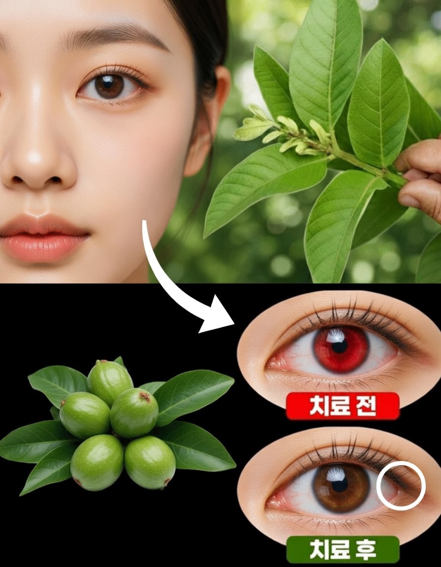구아바 섭취가 눈 건강 증진에 도움 될까요? 자연이 준 영양 가득한 선택을 알아보세요
