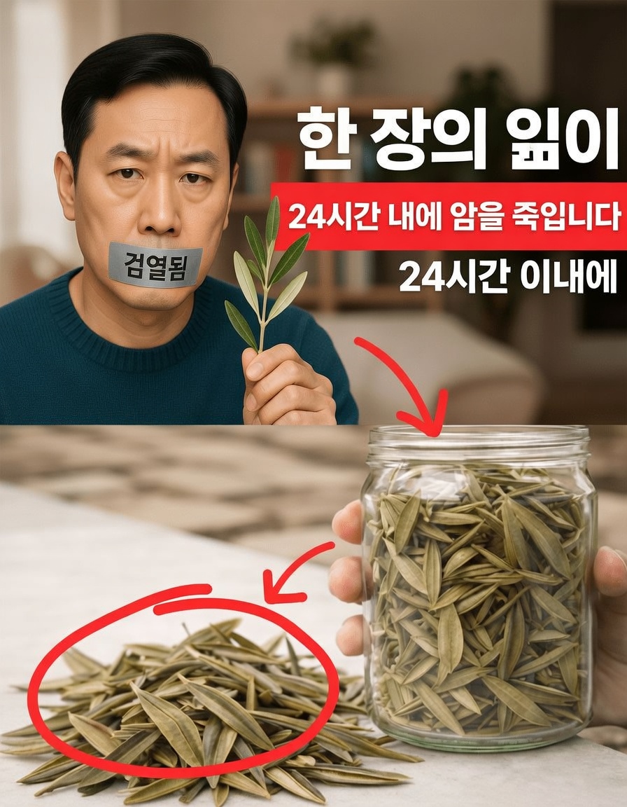 암세포와 싸우는 데 도움이 될 수 있는, 간과된 잎