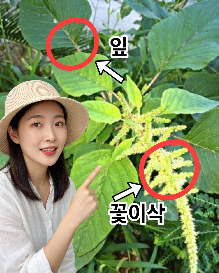 만약 당신의 정원에서 이 식물을 본다면, 당신은 금덩어리를 가진 것이다: 많은 이들이 간과하는 슈퍼푸드이자 뇌에 산소를 공급하는 식물