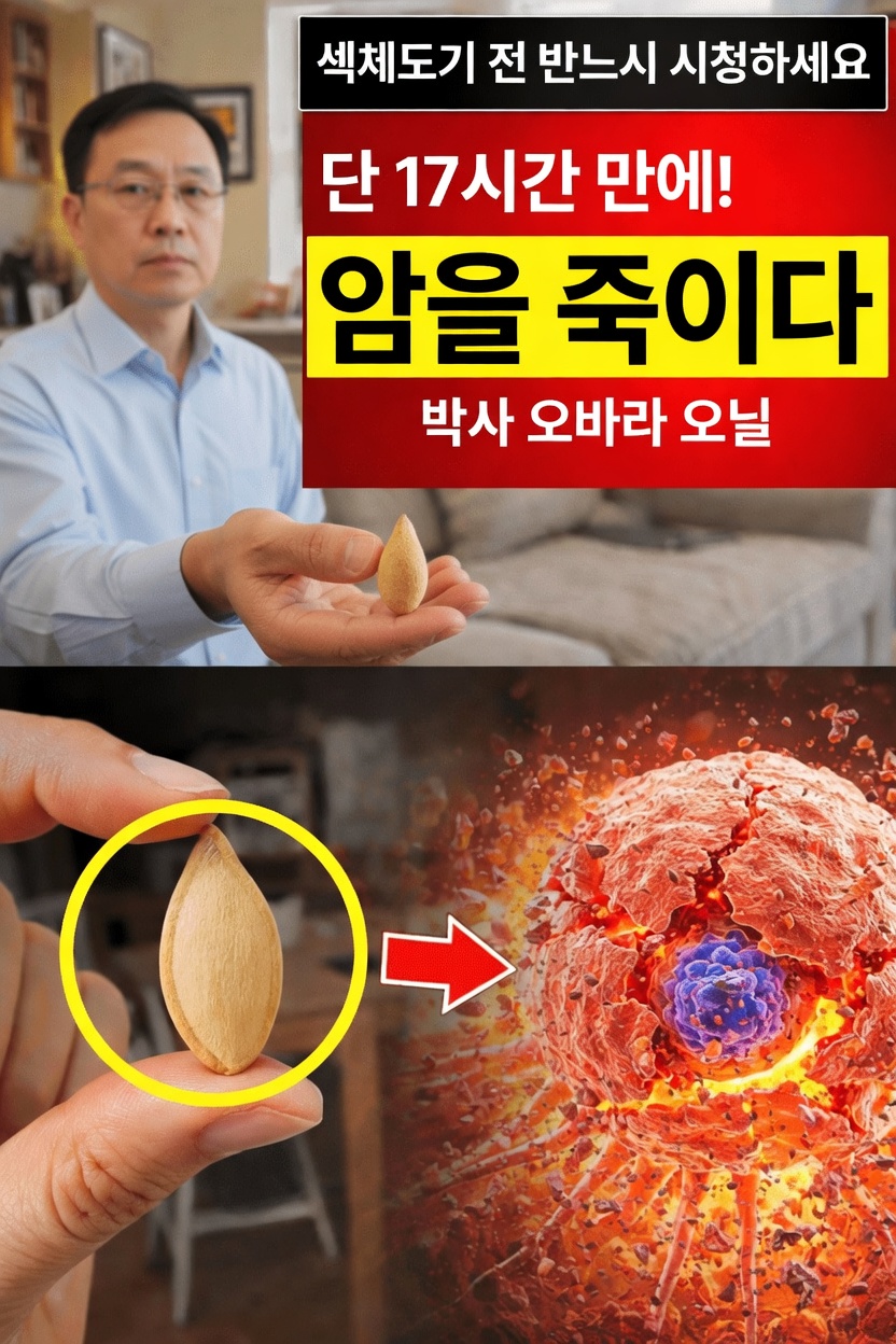 일상적인 건강 식단에 씨앗을 더하는 노인을 위한 간단한 주방 습관