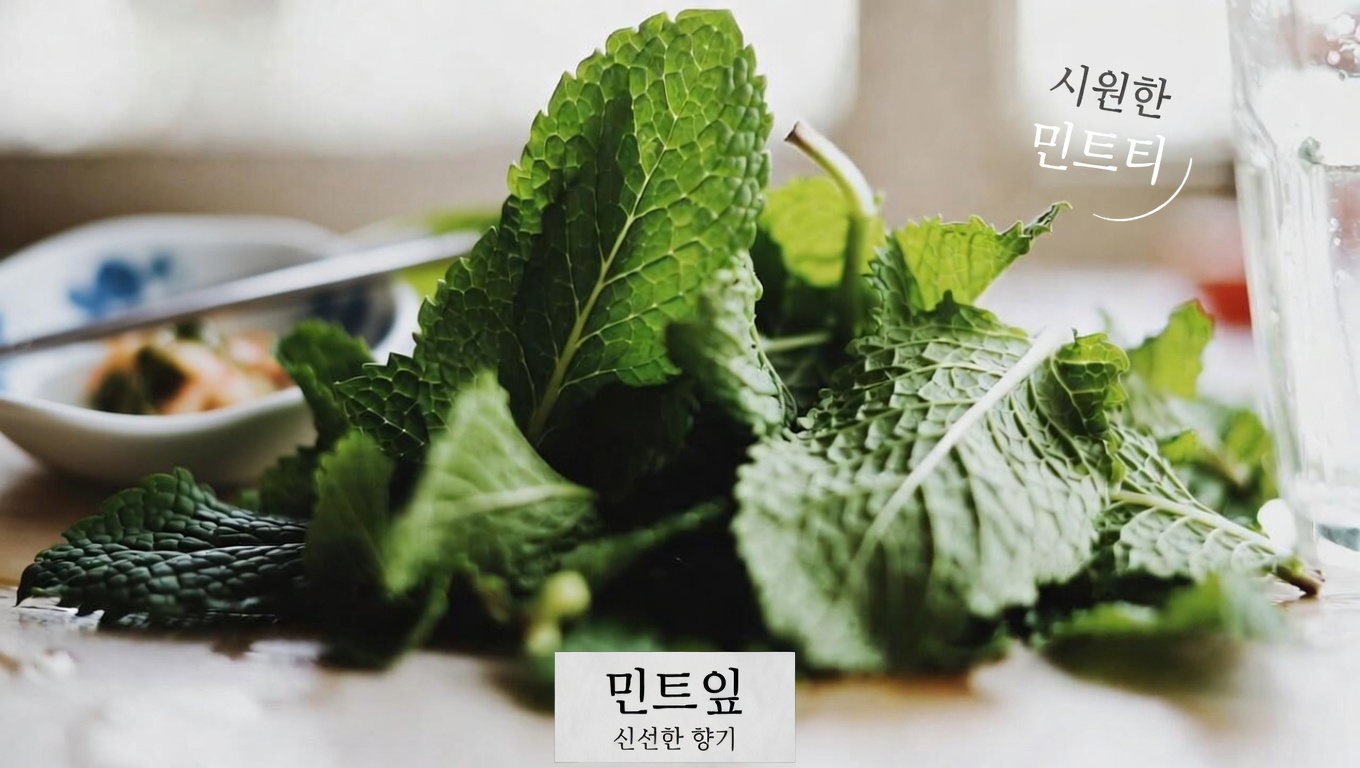 오레가노 오레혼: 자연스럽게 시력을 지켜줄지도 모르는 잘 알려지지 않은 허브