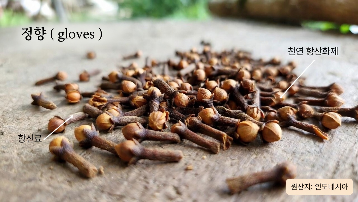 나이가 들어도 젊어 보이는 머릿결을 위한 정향의 잠재력 발견