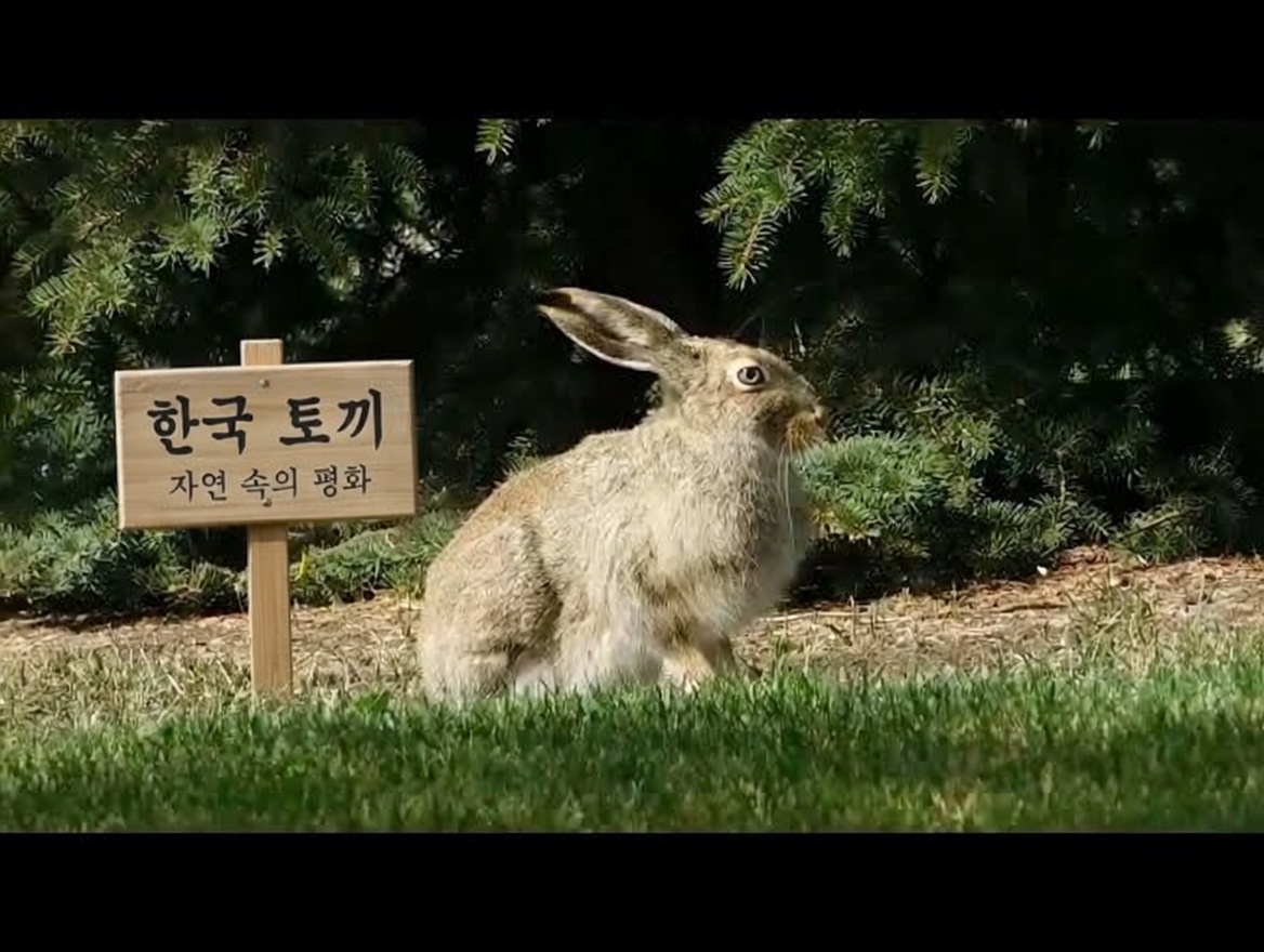 한 달 내내 정향물을 마시면 일어나는 5가지 변화