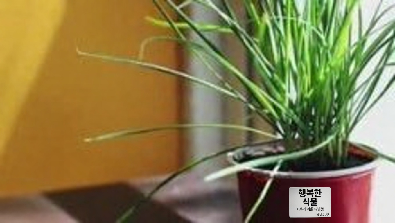 구아바 잎의 놀라운 25가지 효능