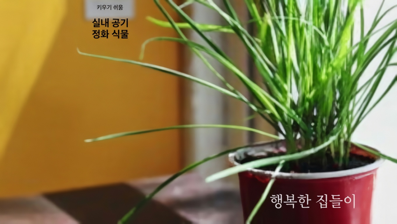 당신의 정원에 purslane을 받아들여야 하는 이유: 8가지 설득력 있는 근거