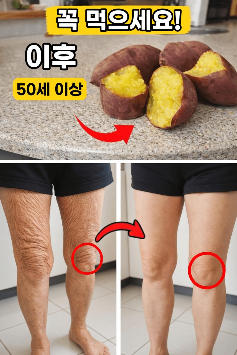 50세 이후 매일 식단에 꼭 포함해야 할 영양 가득한 12가지 식품