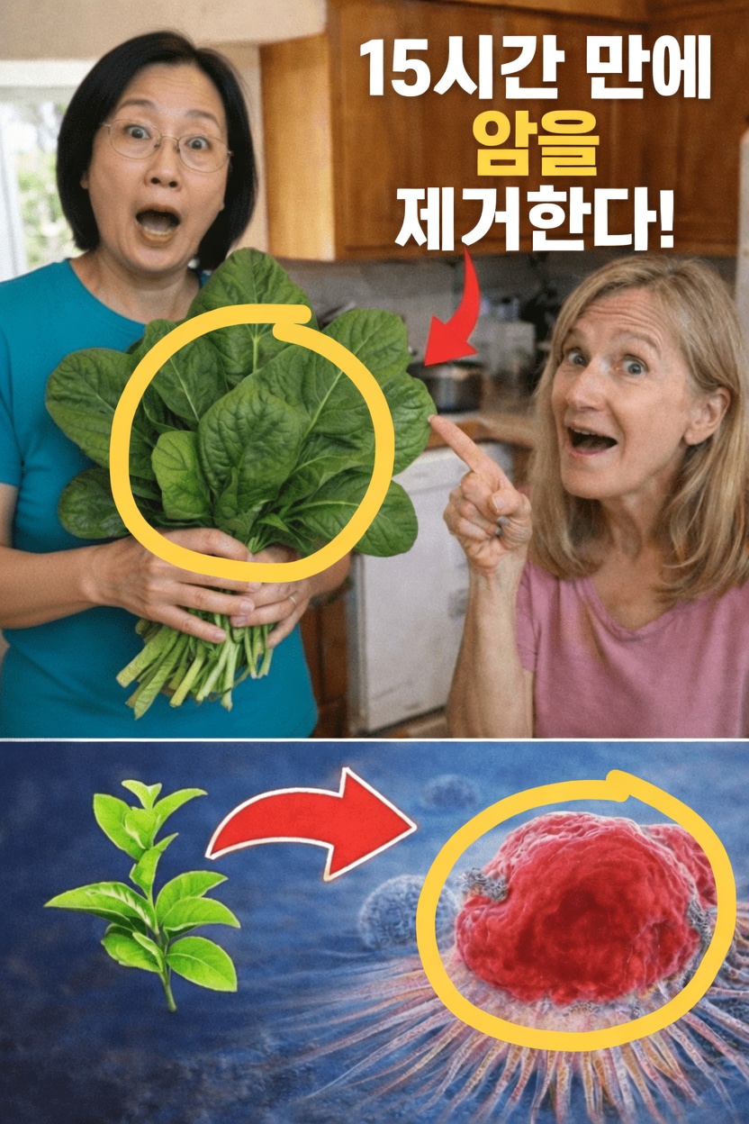 왜 사람들은 잎채소와 암 예방에 대해 이야기할까?