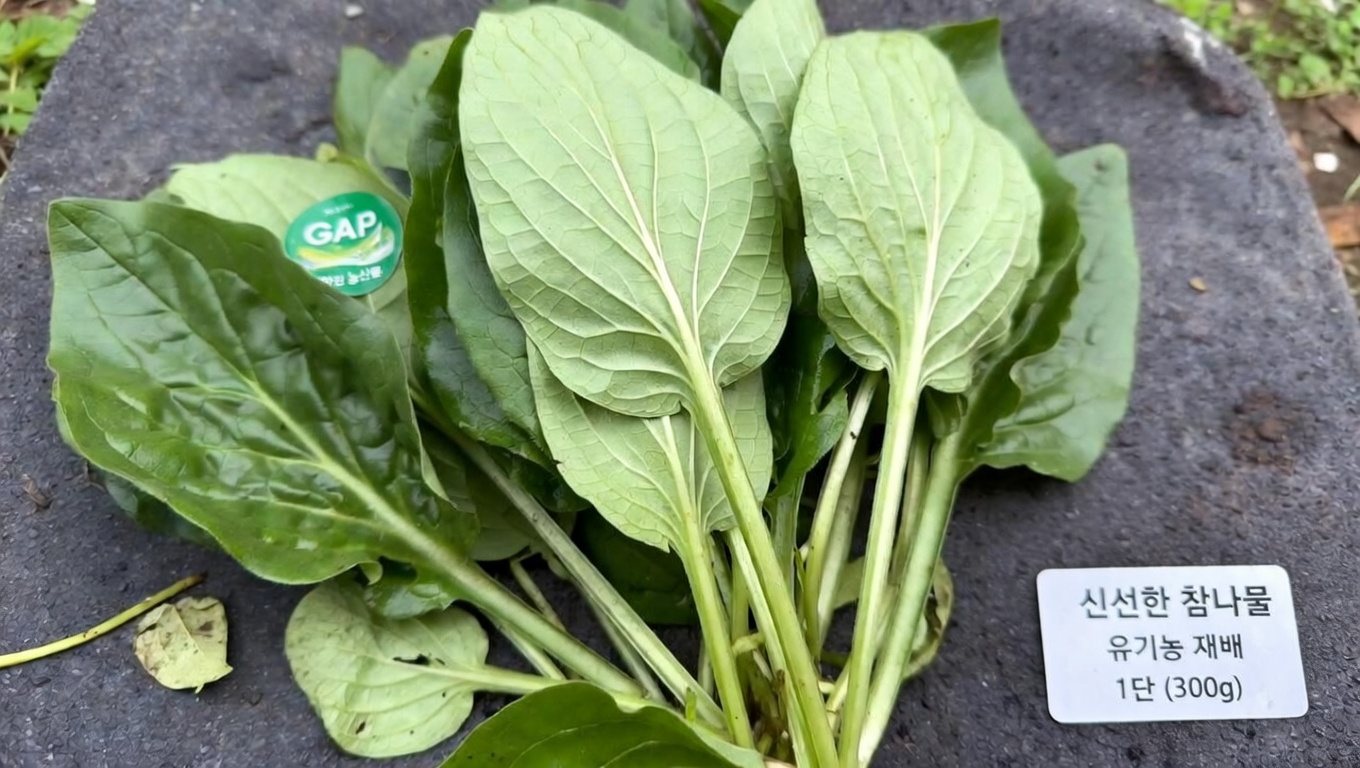 놀라운 전통적 활용을 지닌 흔한 식물, 질경이의 일상 속 경이로움을 발견하기