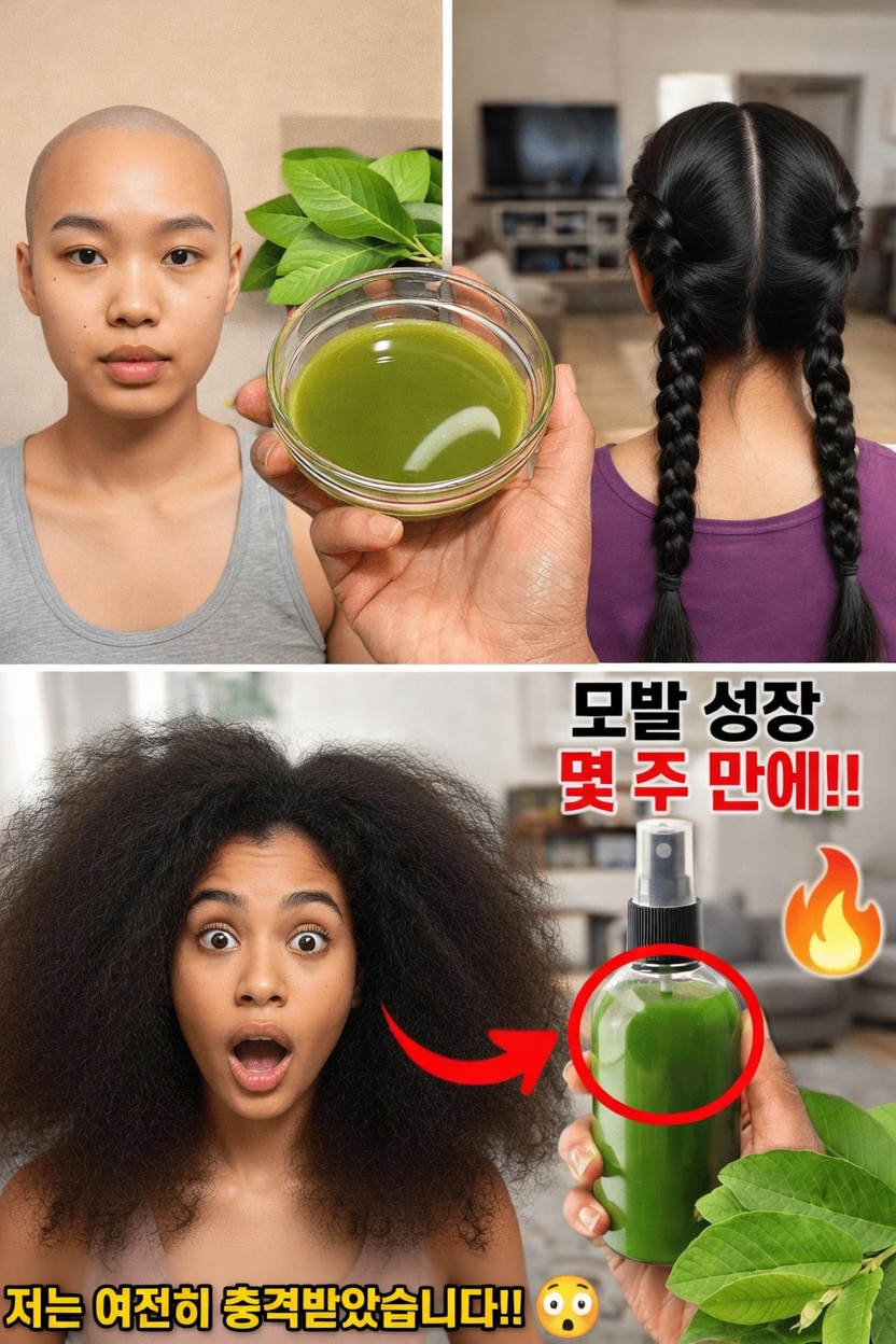 구아바 잎이 더 건강한 모발에 도움 될까? 잠재적 효능과 활용 방법 알아보기