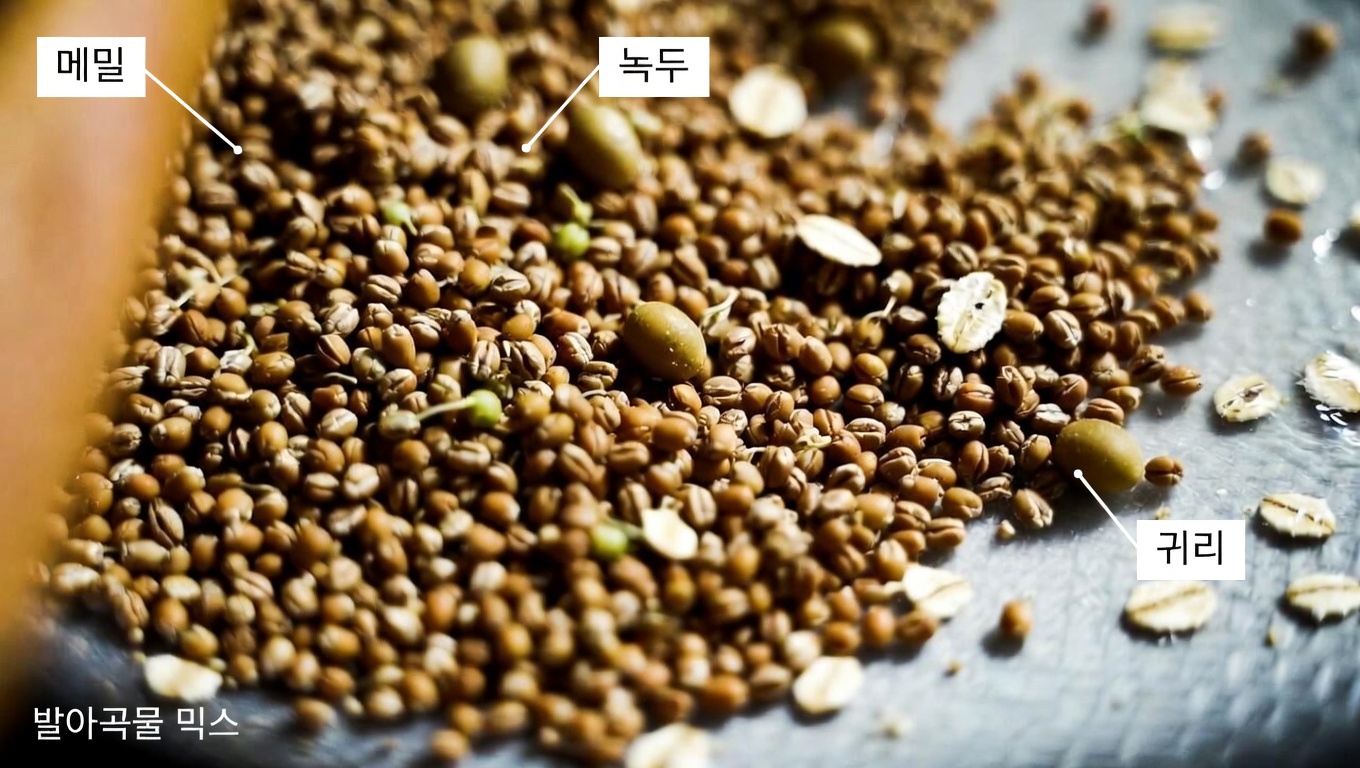 혈당 조절을 위한 최고의 빵: 저GI 옵션 알아보기