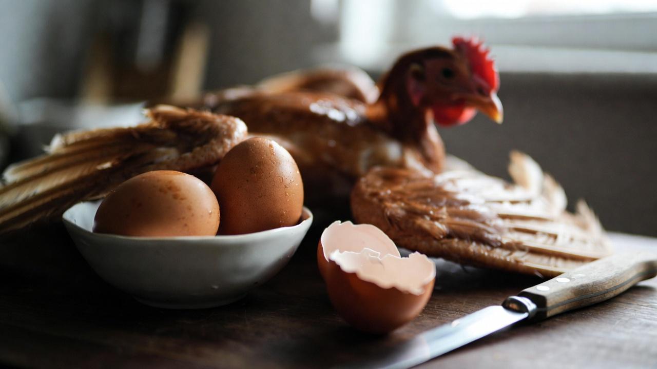 노인 다리 경련을 멈추고 근력을 회복하는 데 도움 되는 비타민 3가지: 다리를 자연스럽게 강화하세요