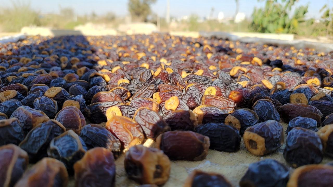 나이가 들수록 일상 식단에 대추를 더하는 것이 뼈 건강에 도움이 될까?