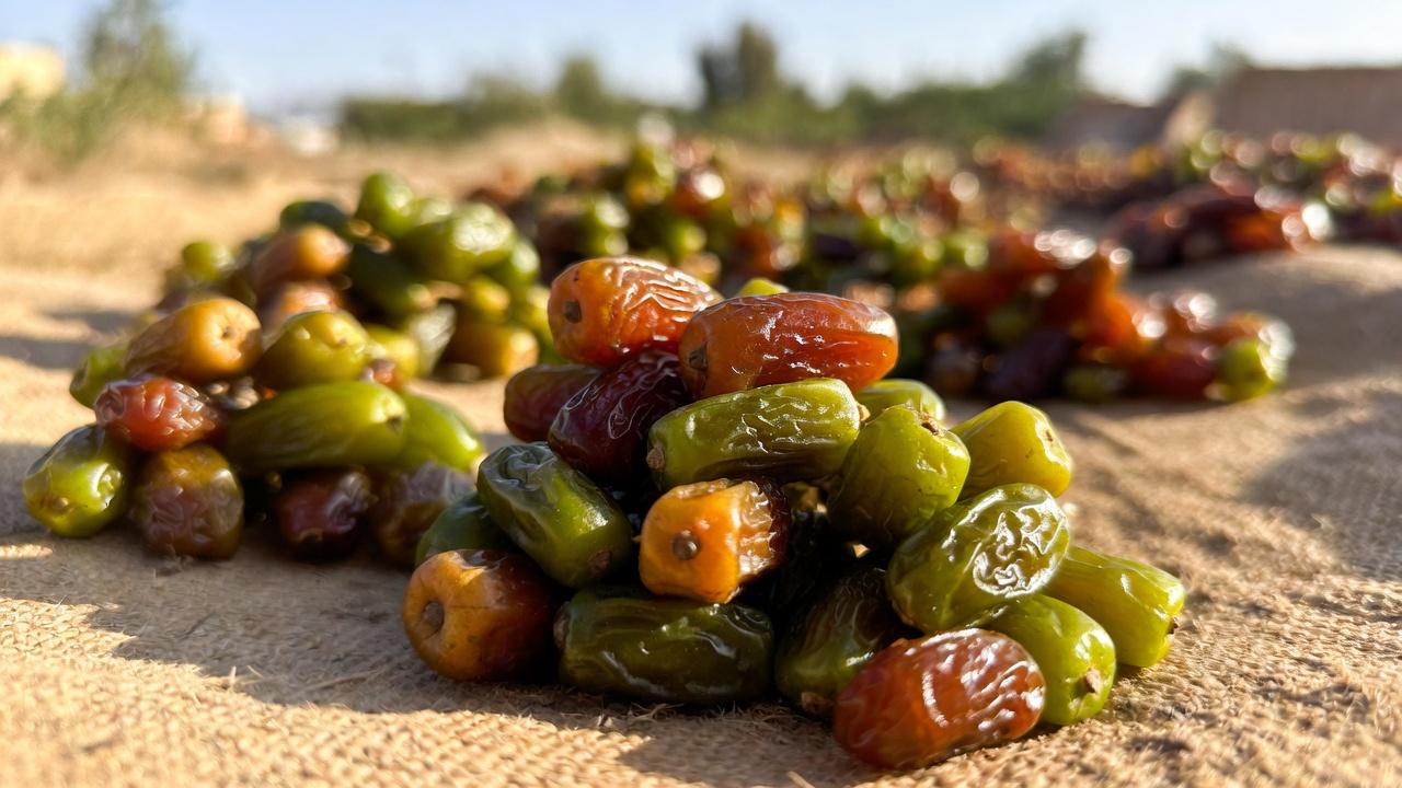 나이가 들수록 일상 식단에 대추를 더하는 것이 뼈 건강에 도움이 될까?