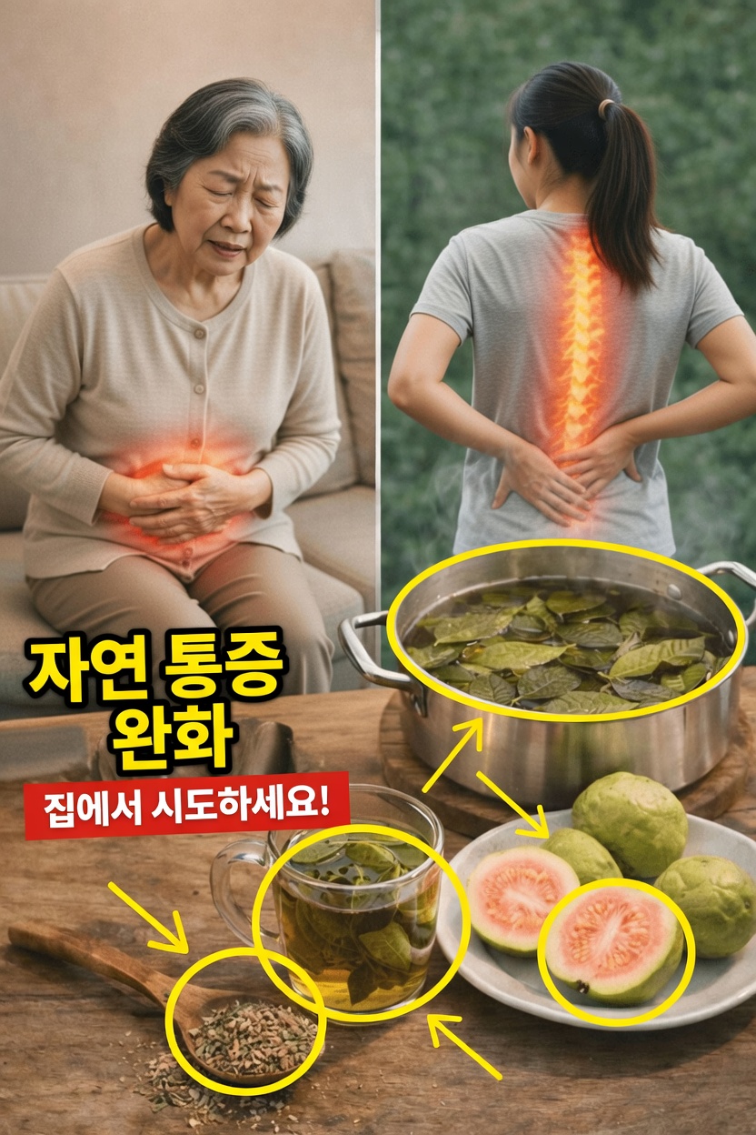 구아바 잎 차가 일상적인 웰니스 루틴을 지원하는 놀라운 방법은 무엇일까?