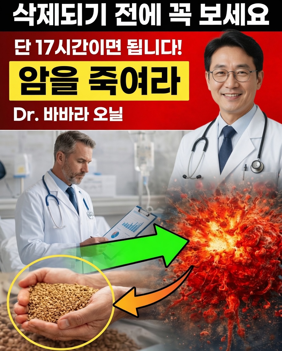 암이 두려워하는 음식이 있을까? 당신을 은밀하게 보호해 줄 11가지 선택