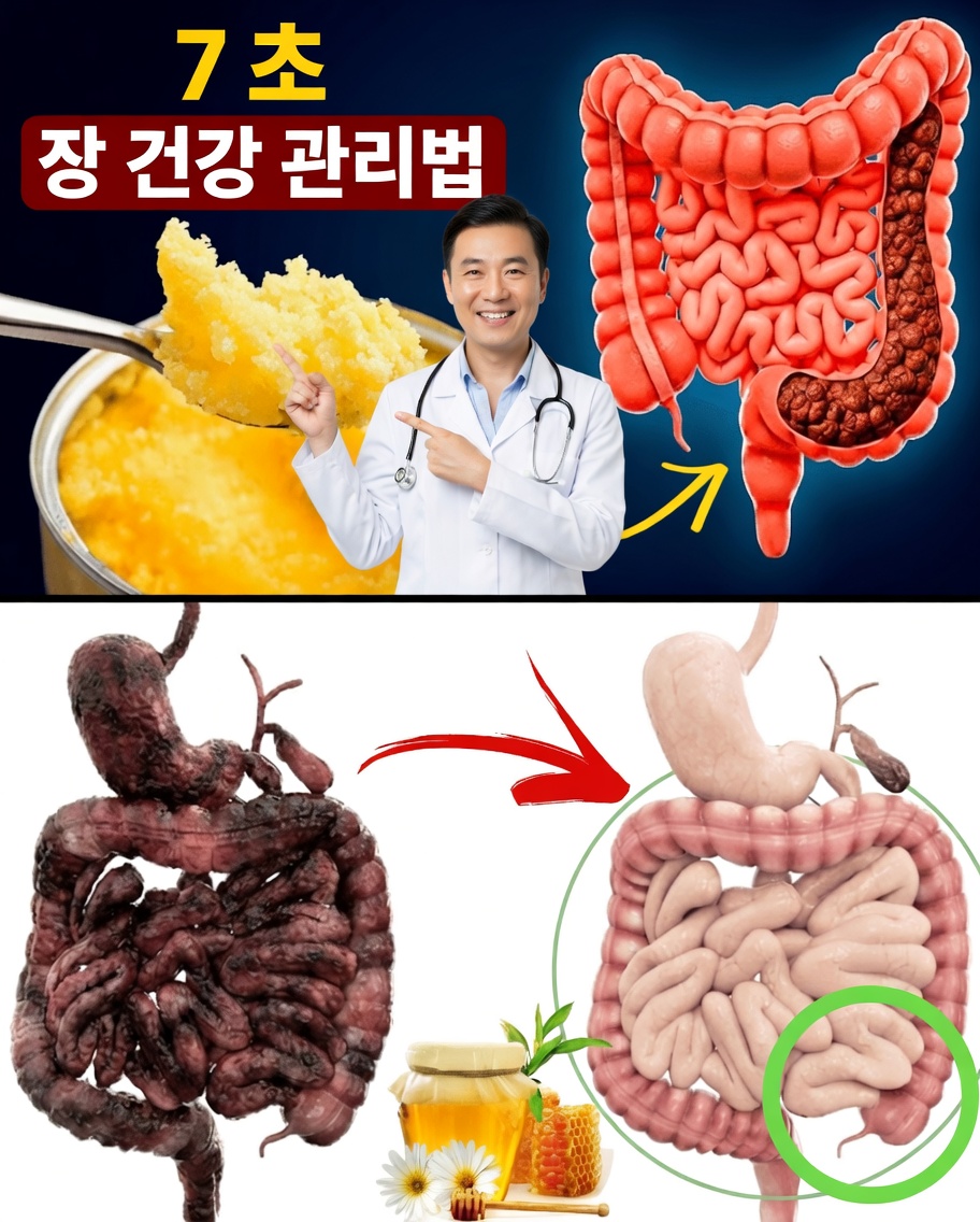 소화를 부드럽게 도와주는 간단한 천연 음료 7가지