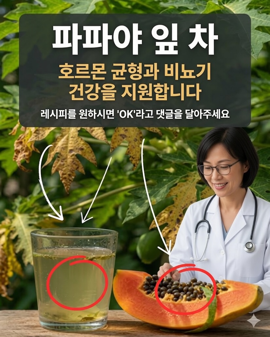 🍃 파파야 잎 차: 실제 효능, 전통적 활용과 마시기 전에 알아야 할 점