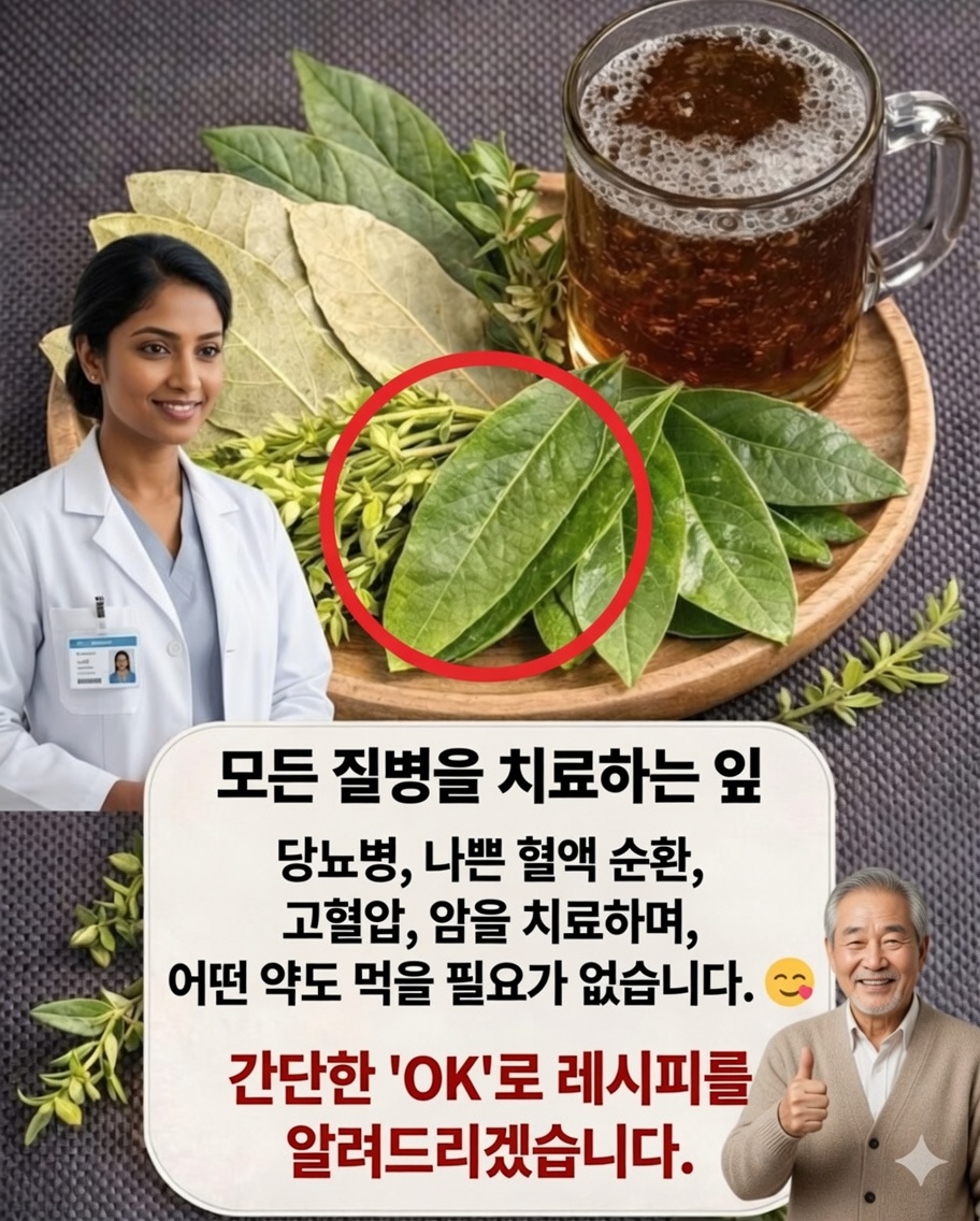 🌿 ‘당신을 도와줄 수 있는 잎들…’ : 약용 잎이 당신의 건강에 실제로 해주는 일