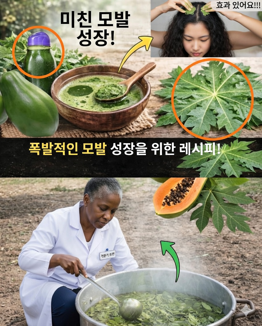 🌿 « 잎의 힘을 발견하세요… »: 이 약초들이 실제로 주는 효능 (근거 없는 믿음은 빼고)