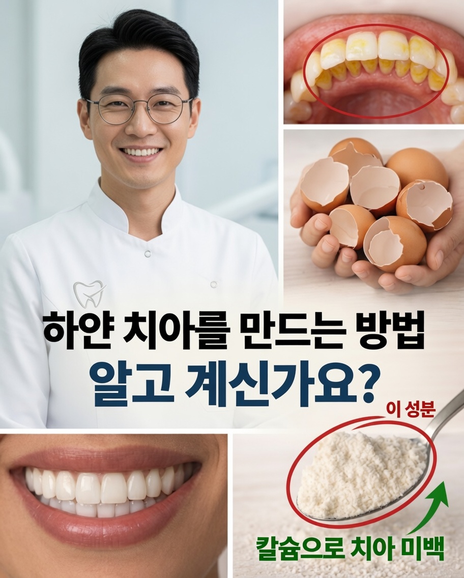 π¦· μ§μμ μΉμμ μμ κ³ μΉμλ₯Ό νμκ² λ§λλ μμ°μ€λ¬μ΄ λΉλ²