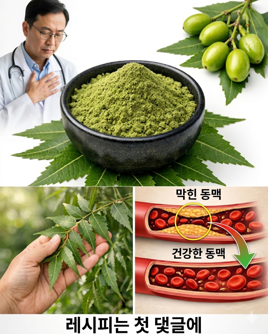 폐를 정화하고 호흡을 개선하는 데 도움을 주는 잎의 힘을 알아보세요