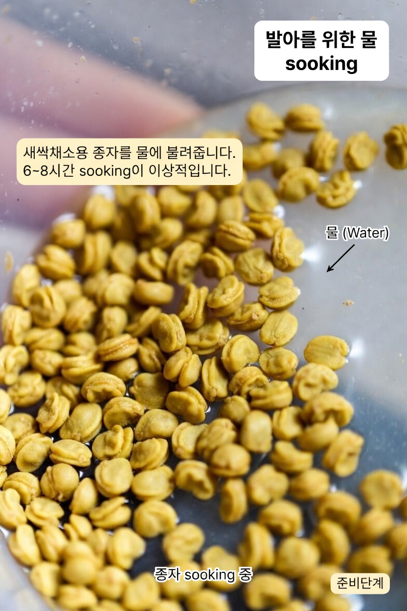 호로파 씨앗: 신장 건강을 자연스럽게 돕는 방법?