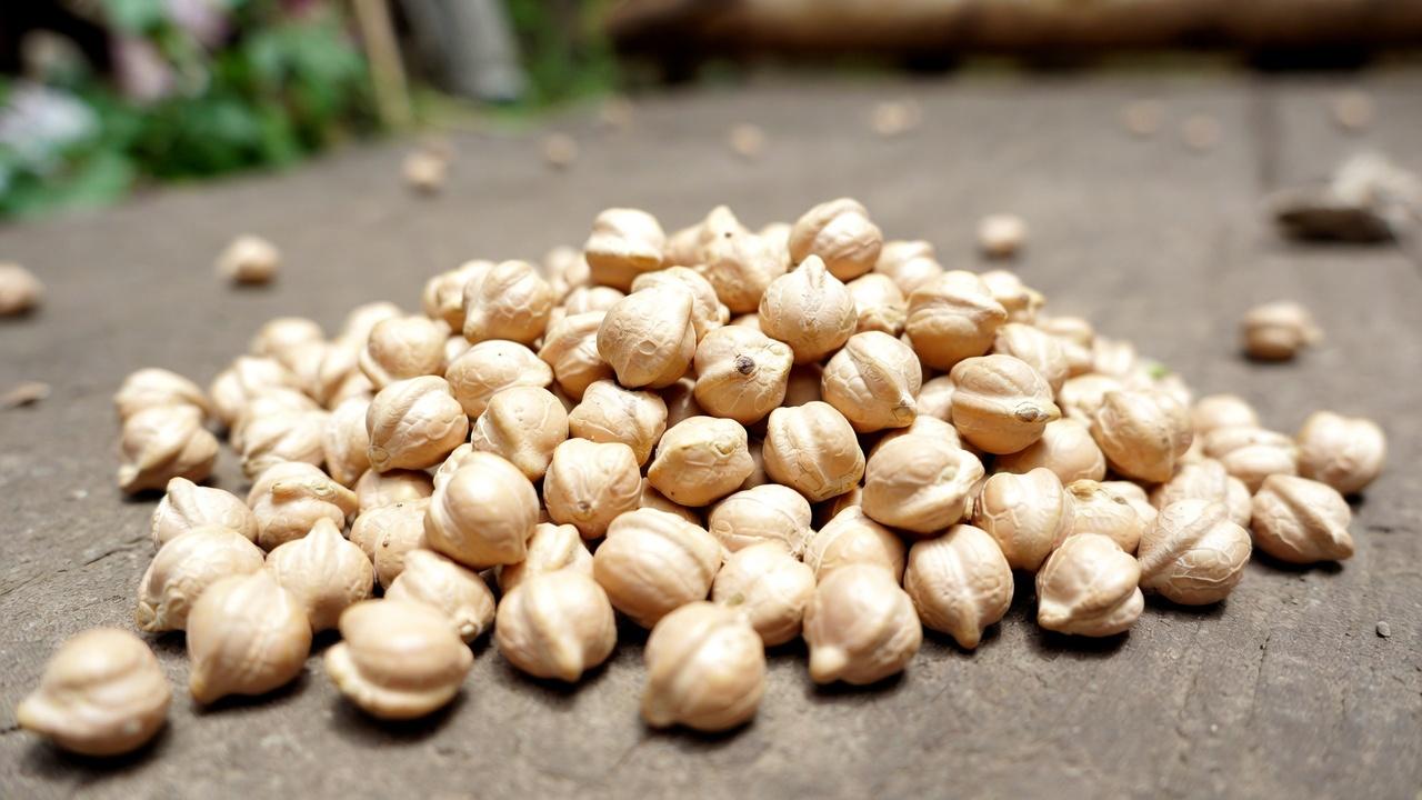 노년층 신장 건강이 걱정된다면: 제한해야 할 단백질 6가지와 더 안전한 선택 4가지