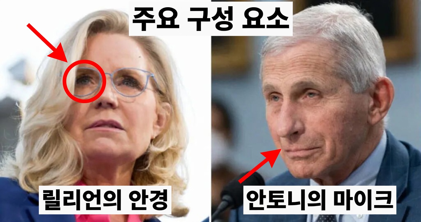 체니·파우치 등 인사들에 대한 바이든 사면, 역효과 부를 수도: 법률 전문가