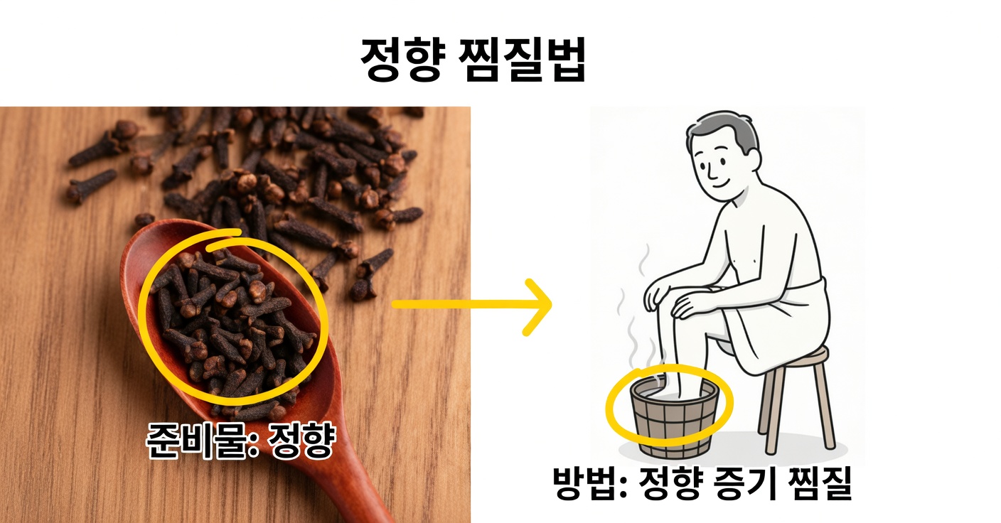 정향의 여성 건강 효능