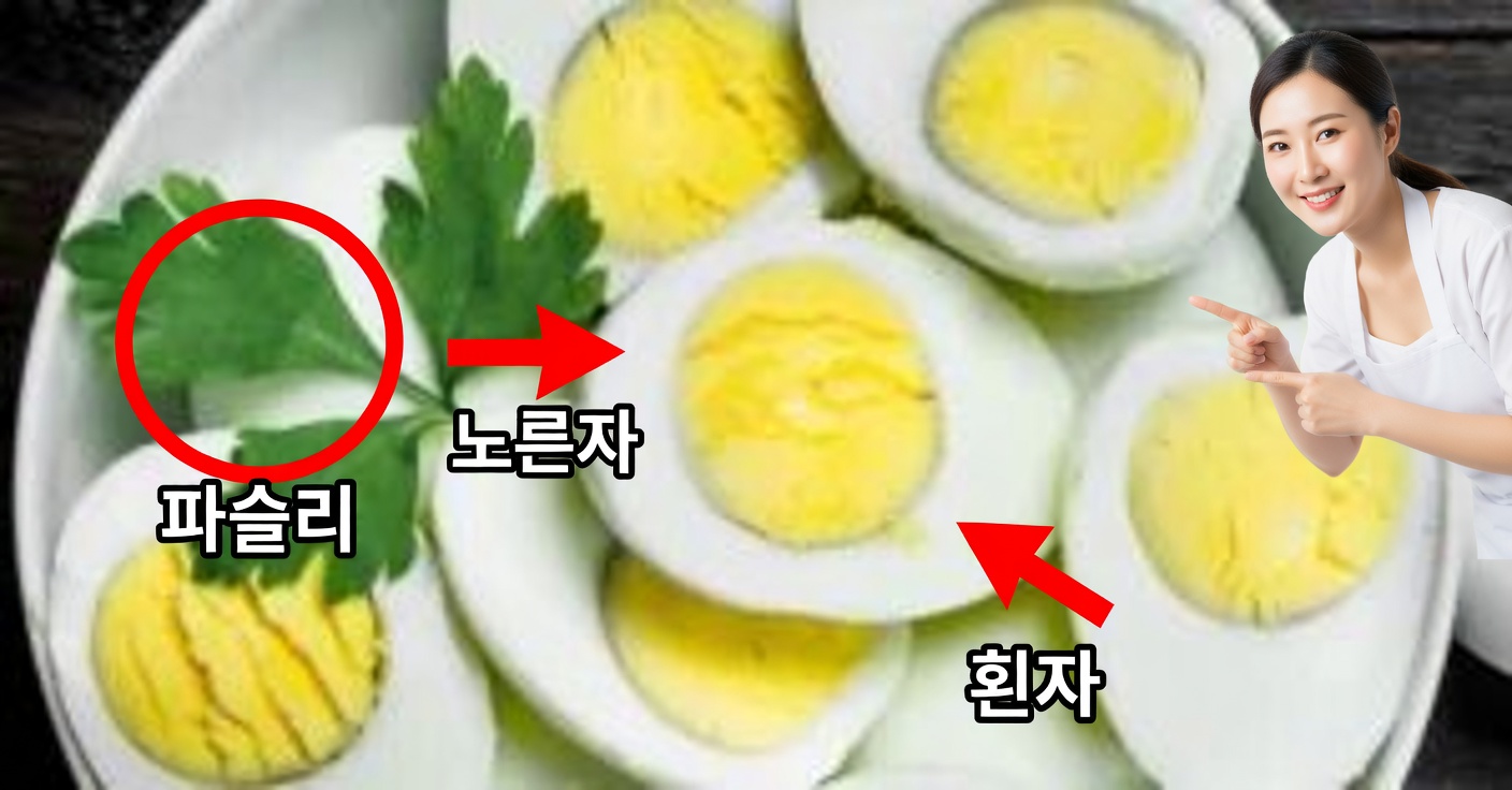 달걀에 초록색 고리가 생기는 이유와 그 의미