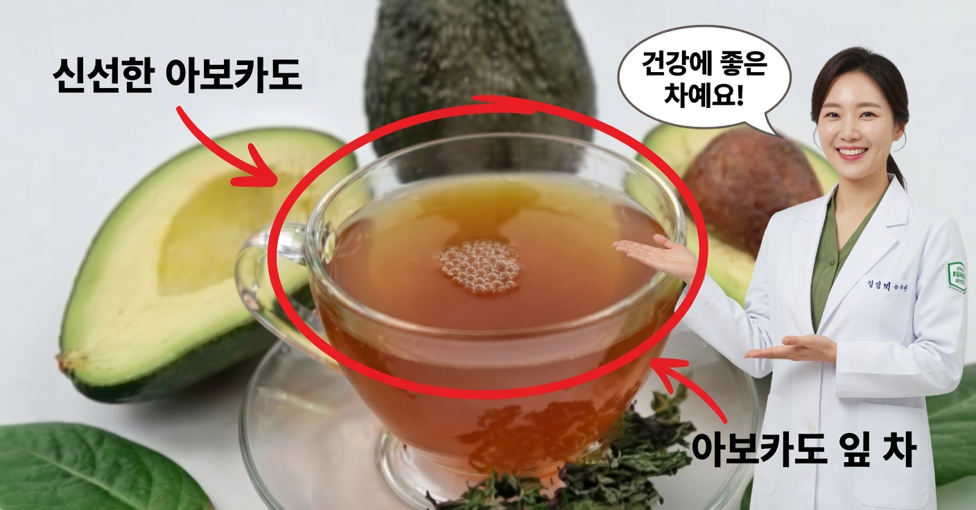 아보카도 잎차: 효능과 만드는 법