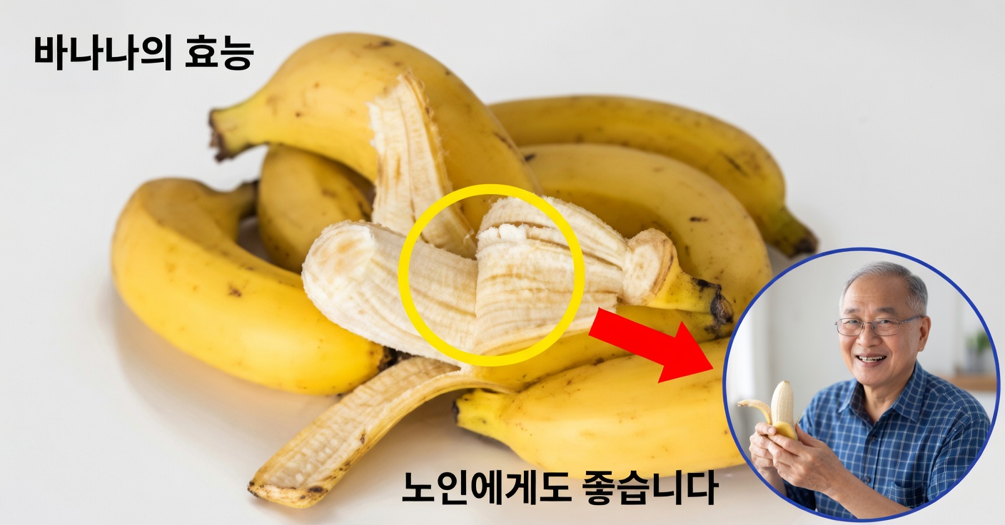 관절 통증 완화를 위한 천연 콜라겐