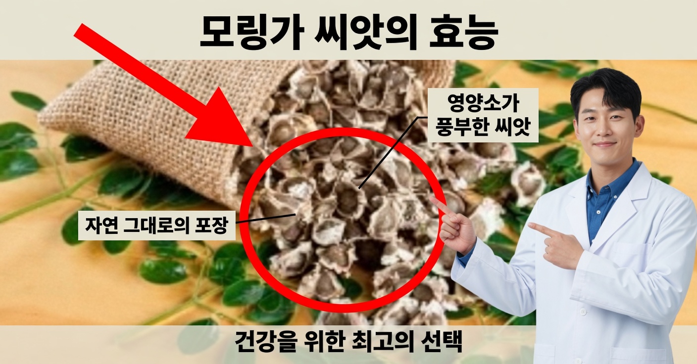 모링가 씨앗: 간을 깨끗하게 하고 콜레스테롤을 낮춘다
