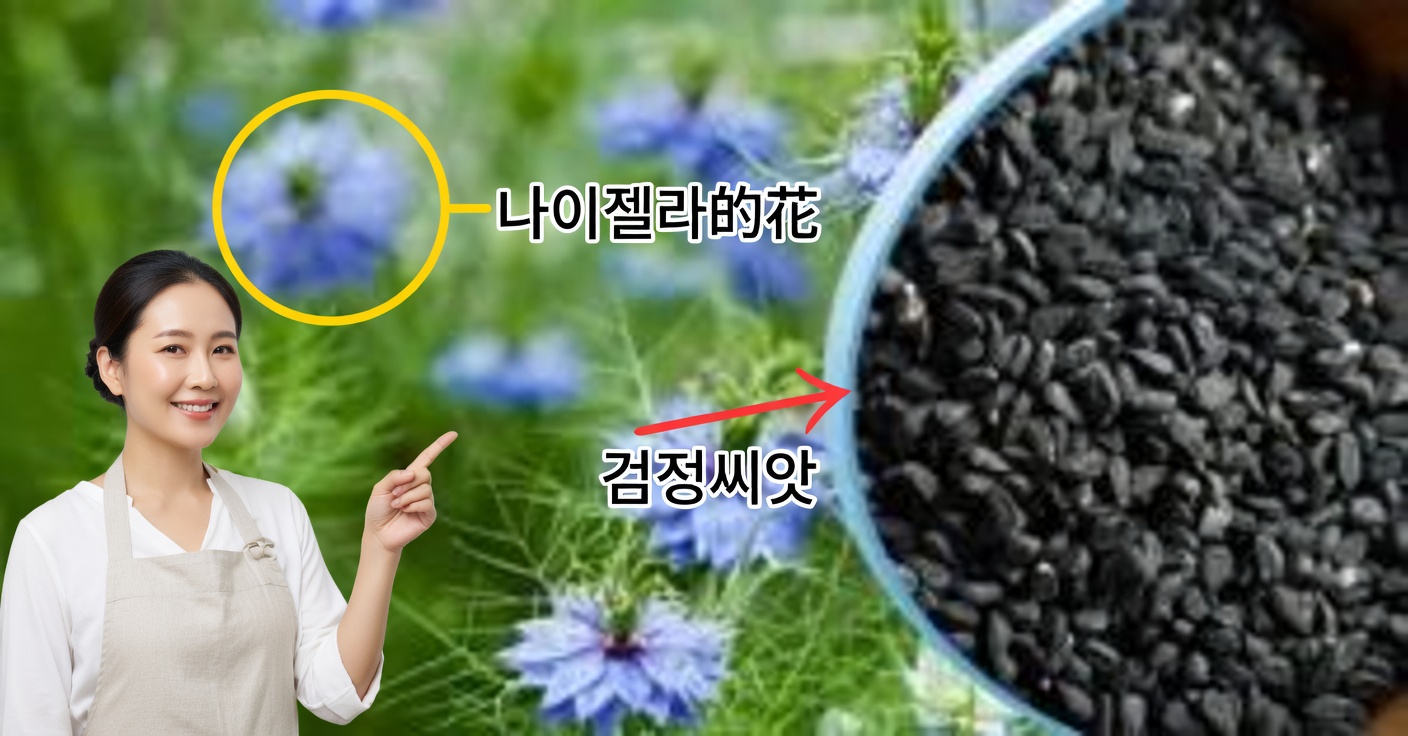 블랙커민의 효능: 활용법과 레시피