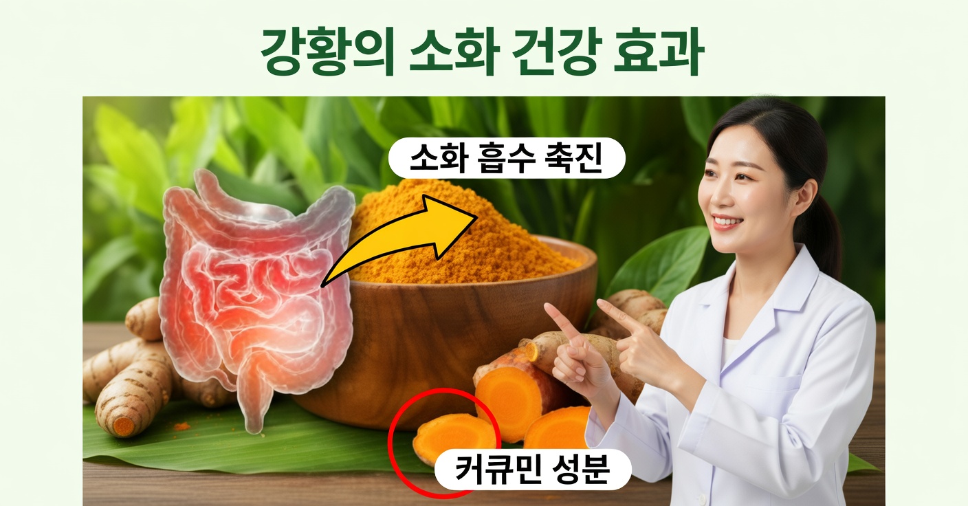 아보카도, 강황, 계피 주입