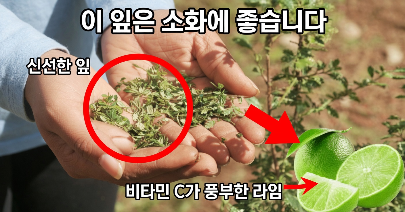 건강을 위한 오레가노와 레몬