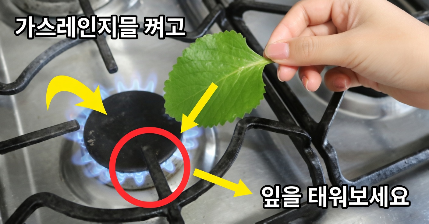 오레가노 오레혼 잎을 데워서 얻는 효능