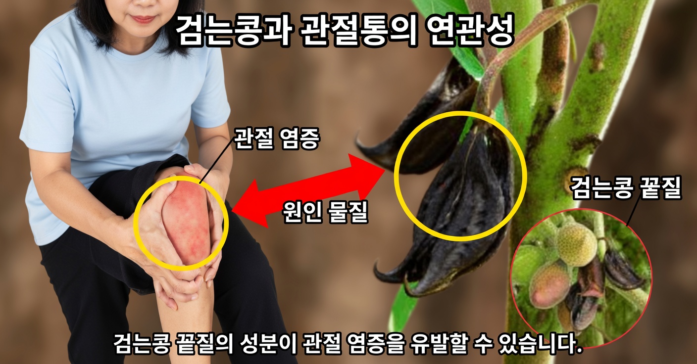 우냐 데 가토: 효능과 건강상의 이점