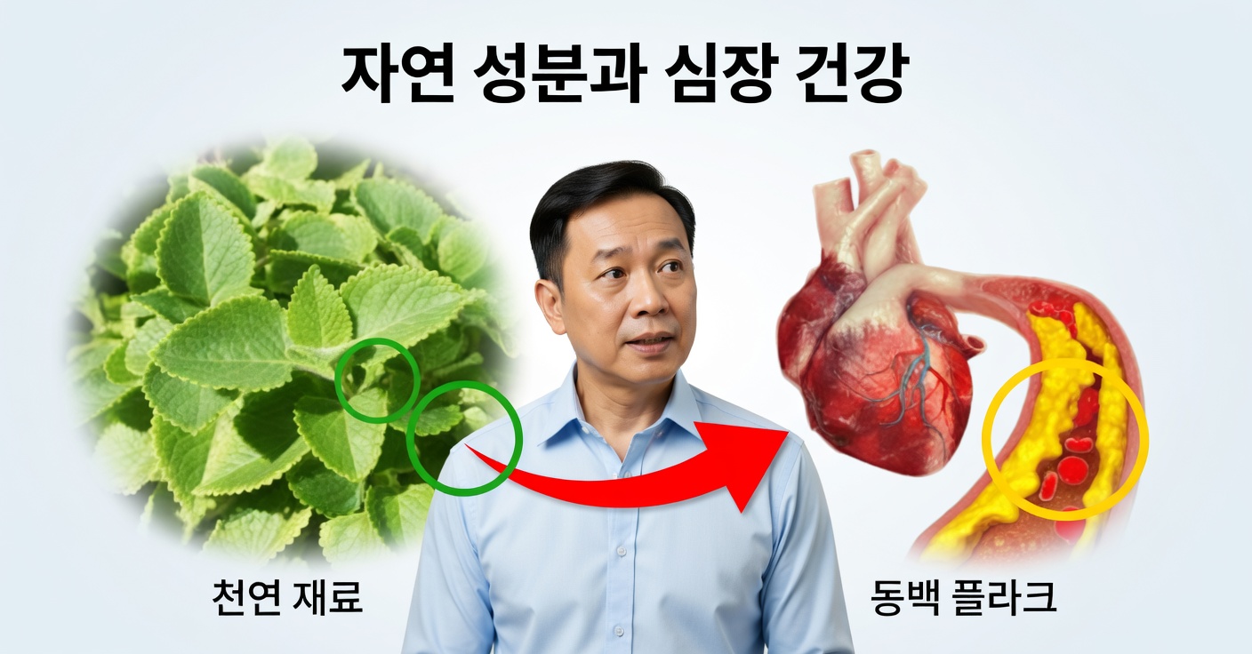 중성지방 치료법: 생강, 폴레오, 계피로 콜레스테롤 낮추기