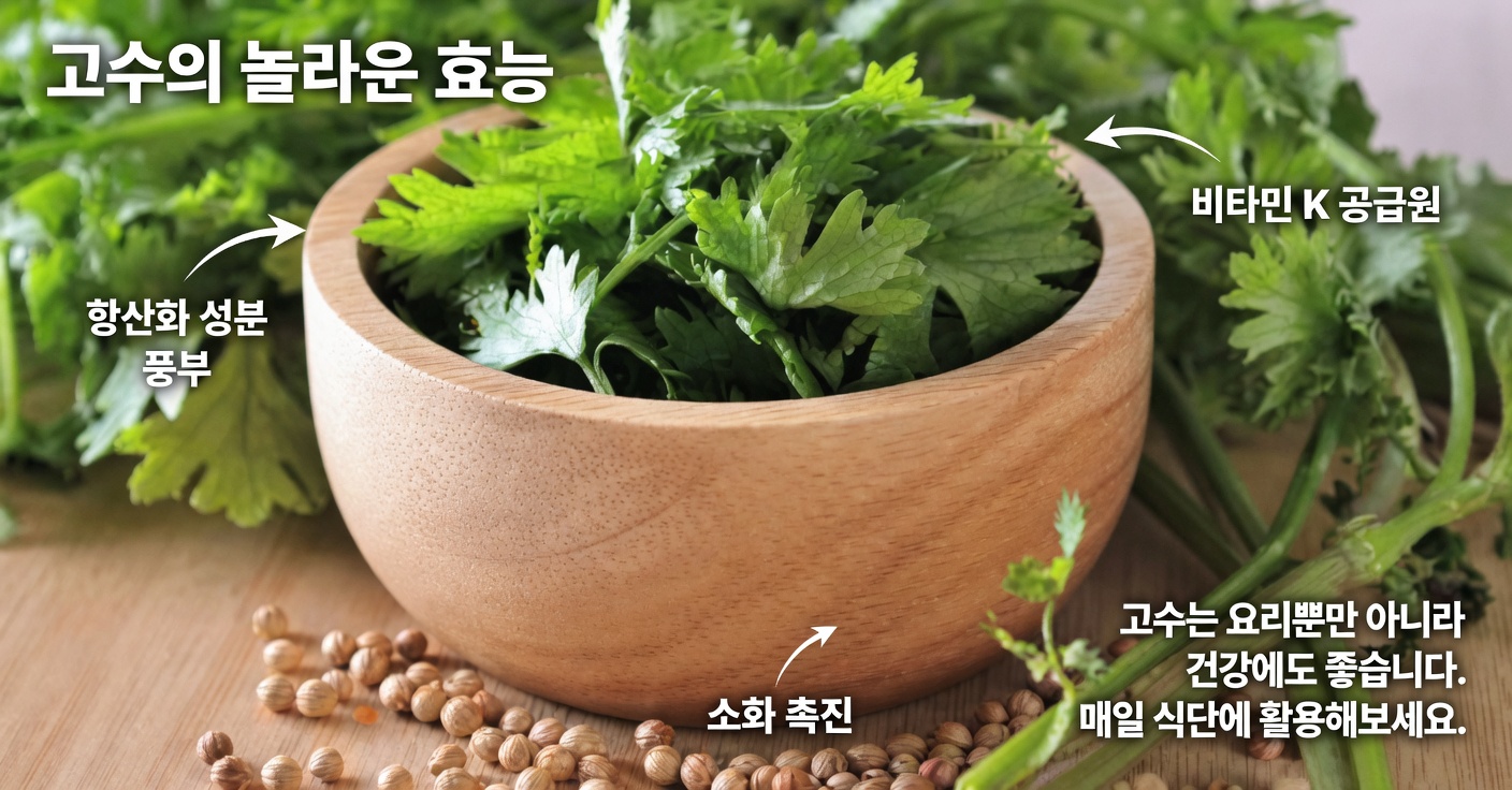 시력을 위한 약용 잎: 눈 건강에 꼭 필요한 선택